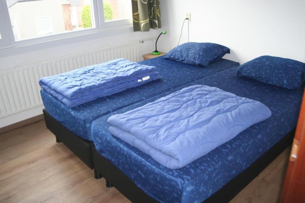 Lepelblad 27* Vakantiehuis Nieuwvliet