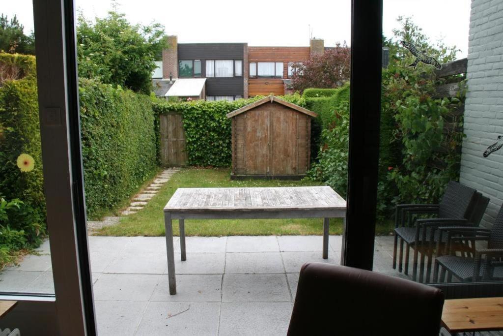 Lepelblad 27* Nieuwvliet
