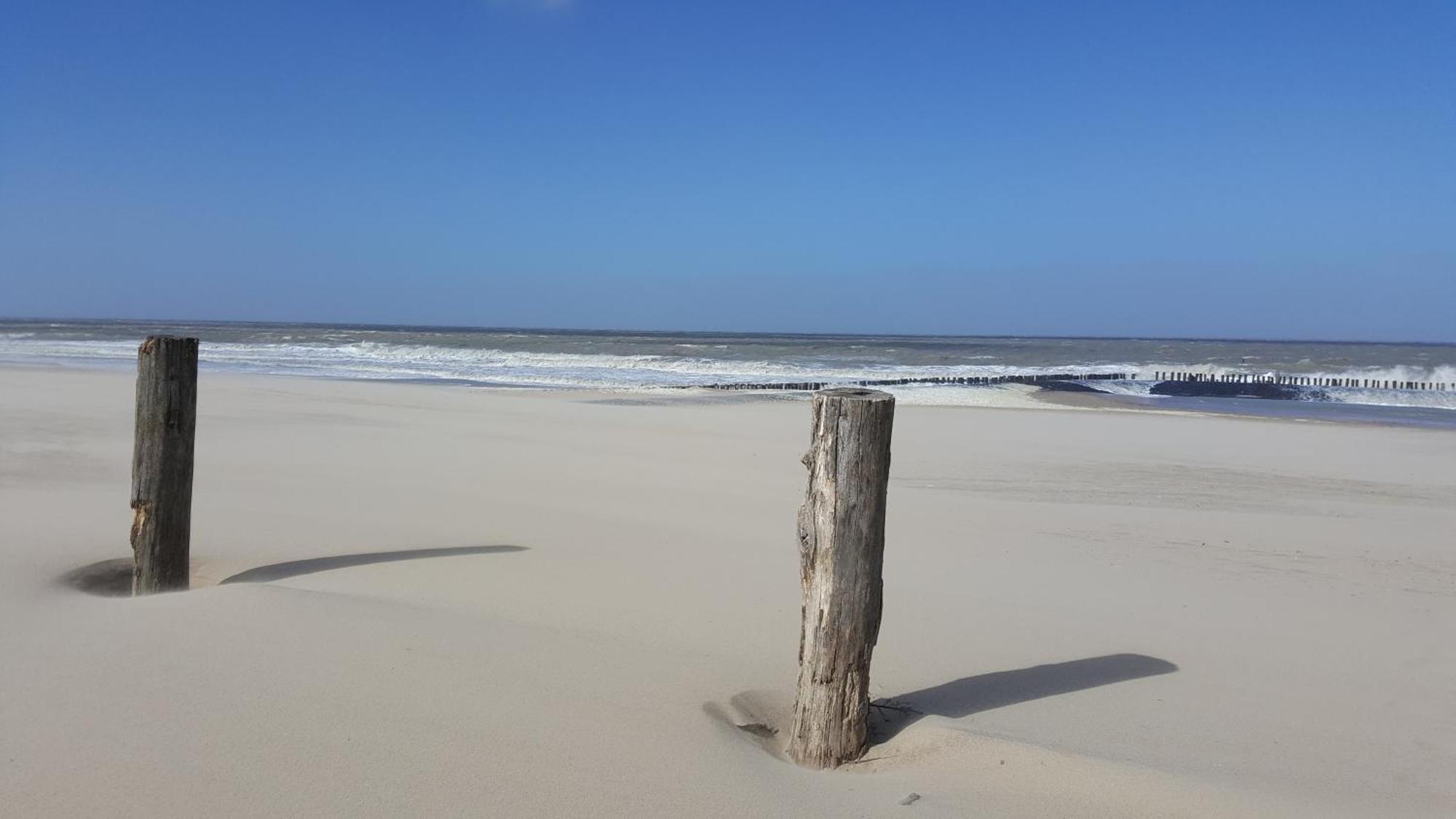 Lepelblad 27* Vakantiehuis Nieuwvliet